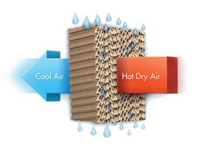 WHAT IS EVAPORATIVE COOLING